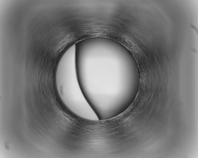 X0000095510696200712140935