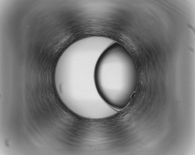X0000095510697200712140935