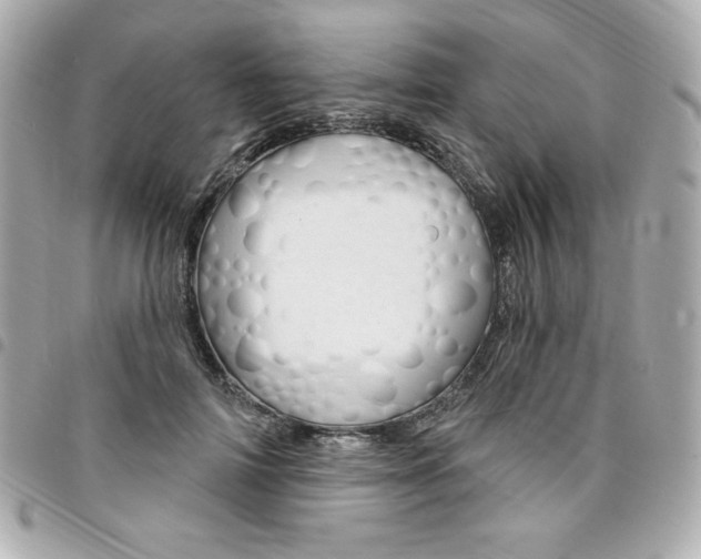 X0000095510698200712140935