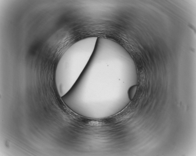 X0000095510699200712140935