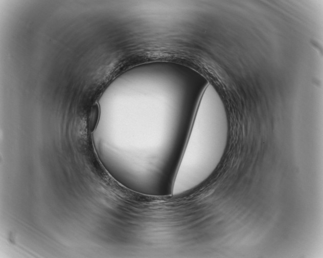 X0000095510700200712140935