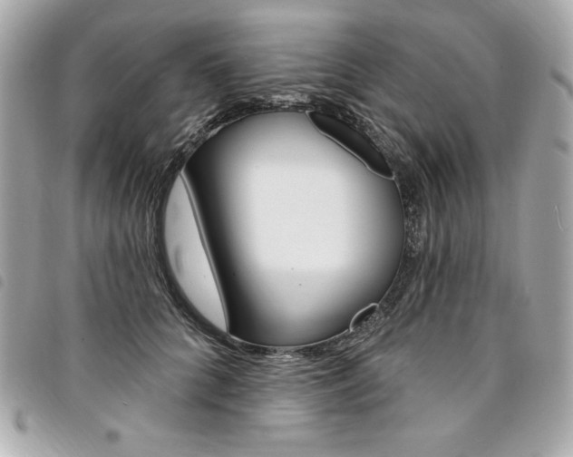 X0000095510704200712140934