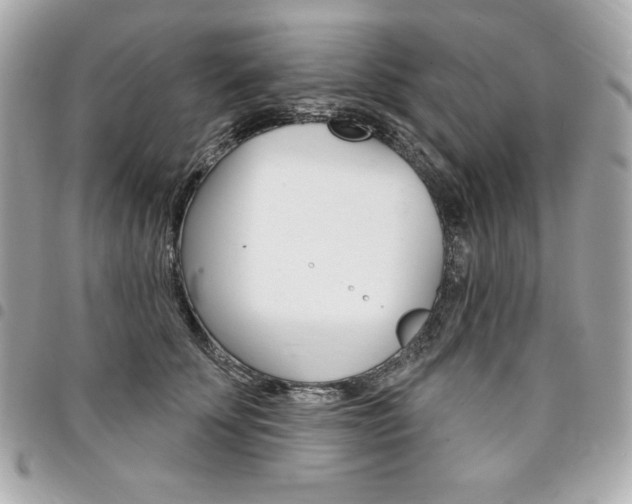 X0000095510707200712140934