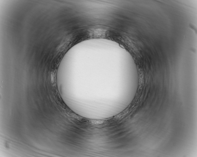 X0000095510709200712140934