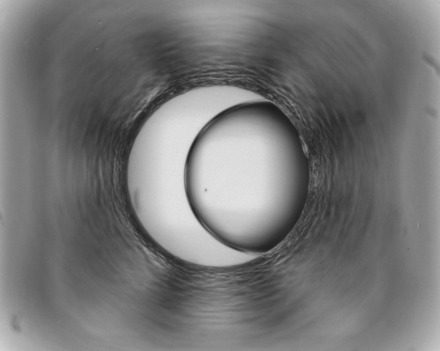 X0000095510712200712140934