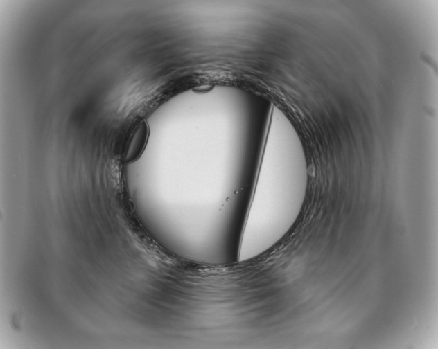 X0000095510715200712140934