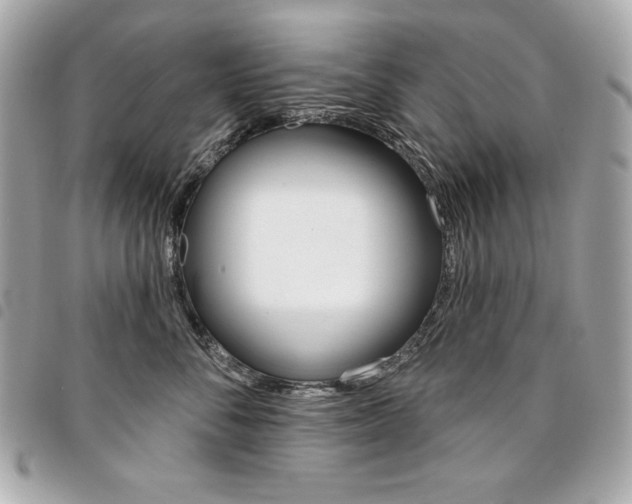 X0000095510716200712140934