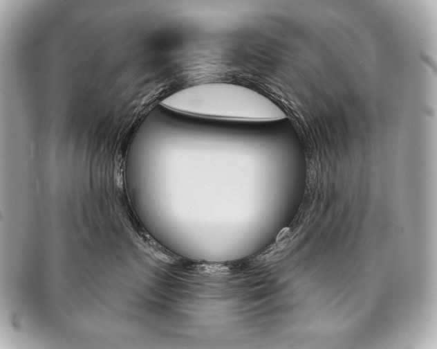 X0000095510719200712140934