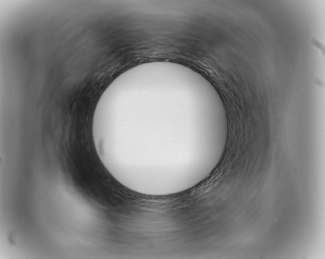 X0000095510720200712140934