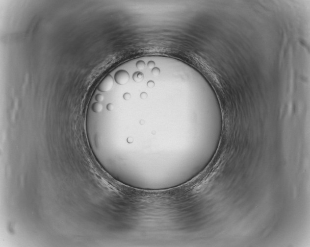 X0000095510721200712140934