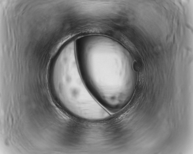 X0000095510722200712140934