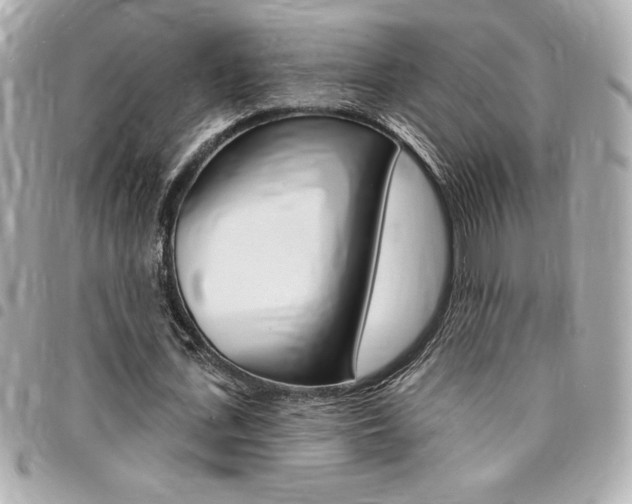 X0000095510723200712140934