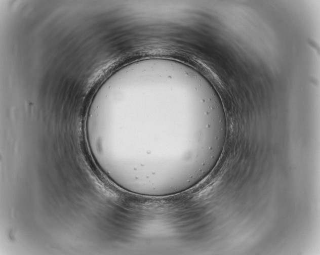 X0000095510725200712140934