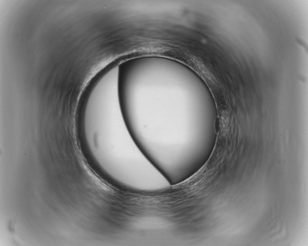 X0000095510726200712140934