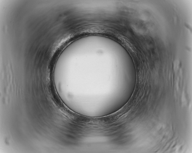 X0000095510727200712140934