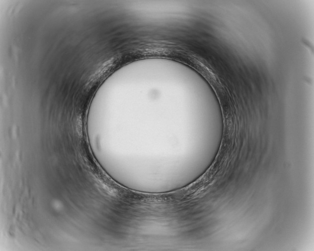 X0000095510729200712140934