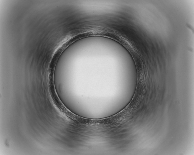 X0000095510730200712140934