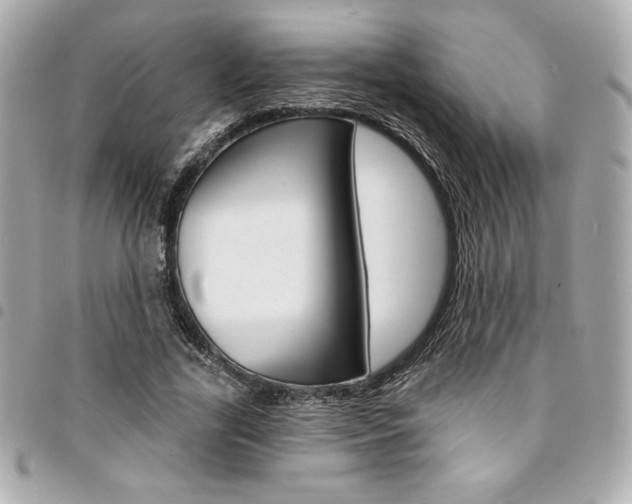 X0000095510731200712140934