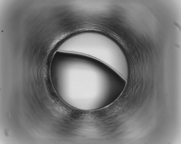 X0000095510732200712140934