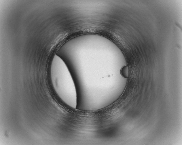 X0000095510738200712140934
