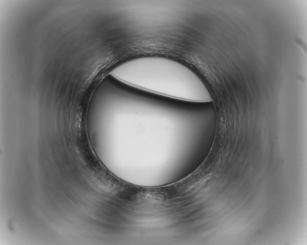 X0000095510739200712140934