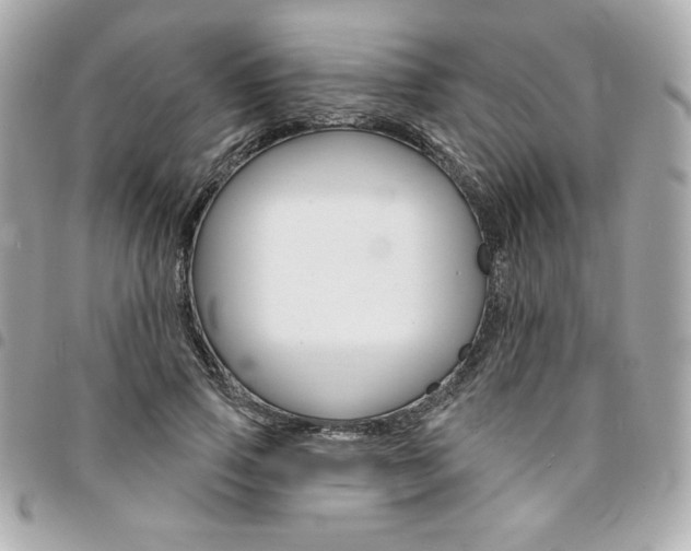 X0000095510741200712140934