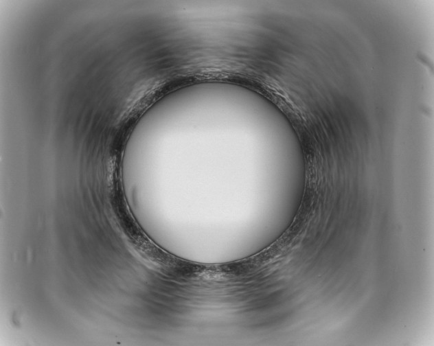 X0000095510742200712140934