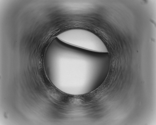 X0000095510743200712140934