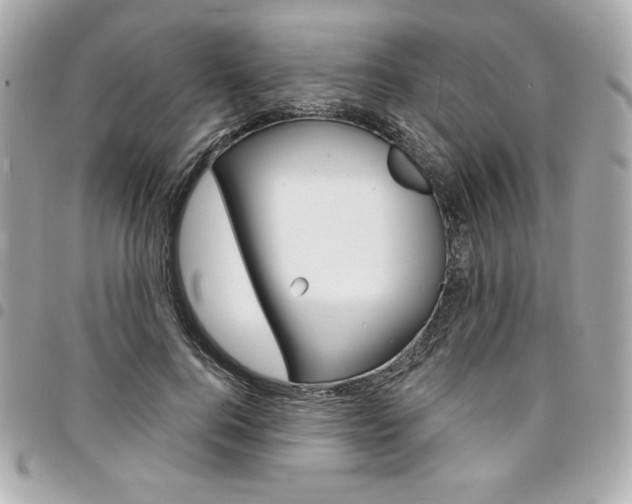 X0000095510744200712140934