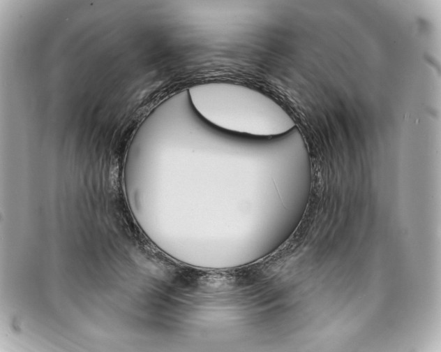 X0000095510745200712140934