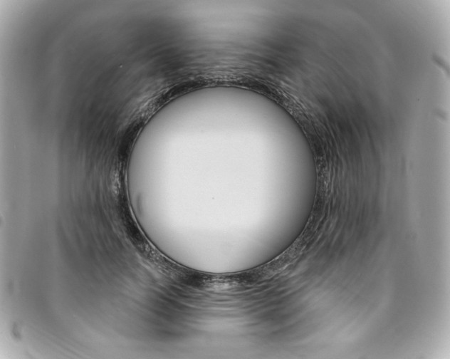 X0000095510746200712140934