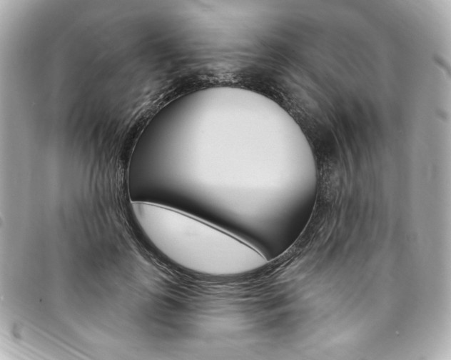 X0000095510747200712140934