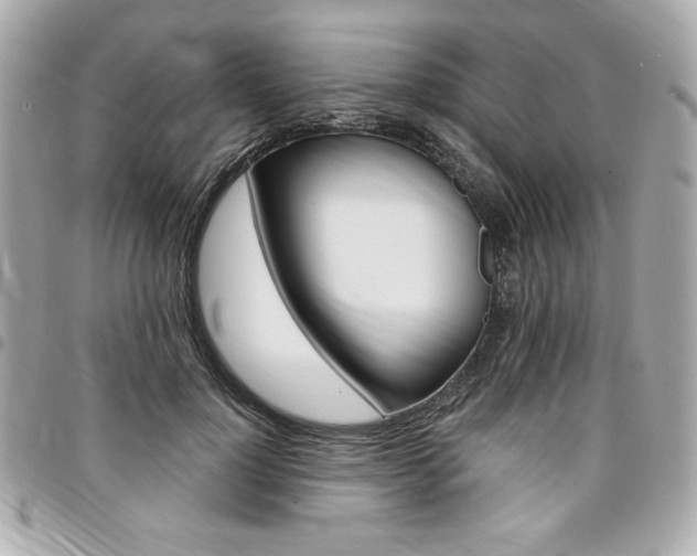 X0000095510748200712140934