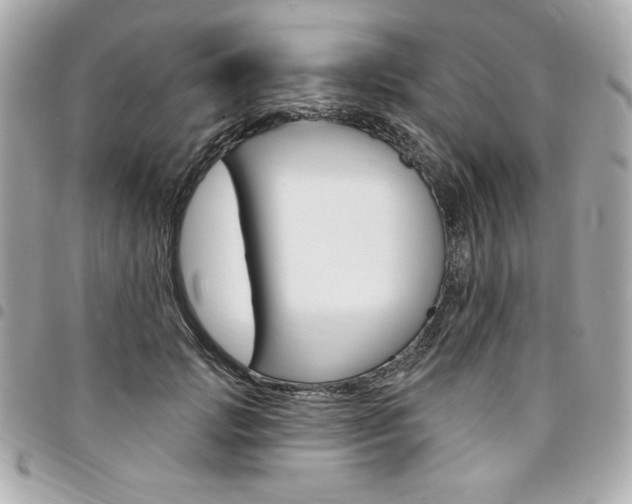 X0000095510749200712140934