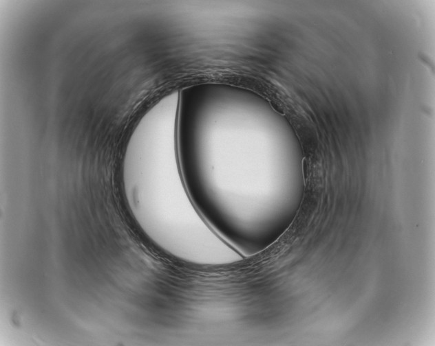 X0000095510750200712140934