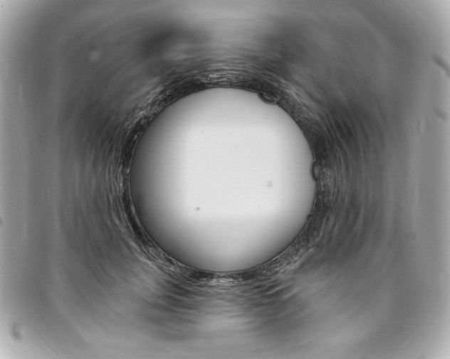 X0000095510751200712140934