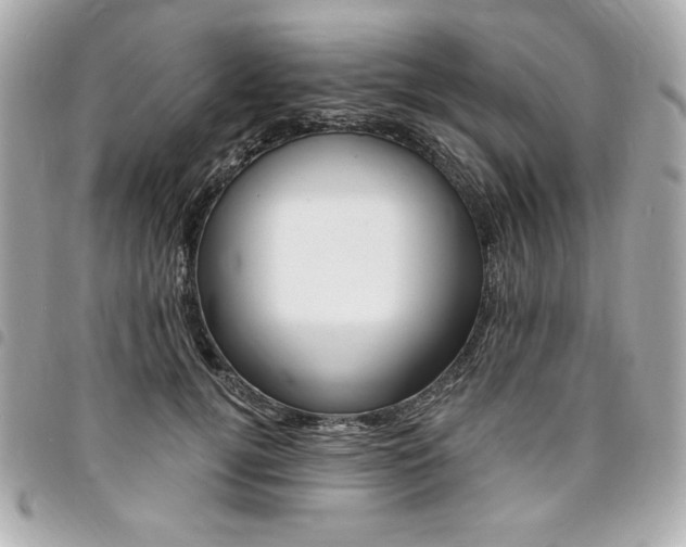 X0000095510752200712140934