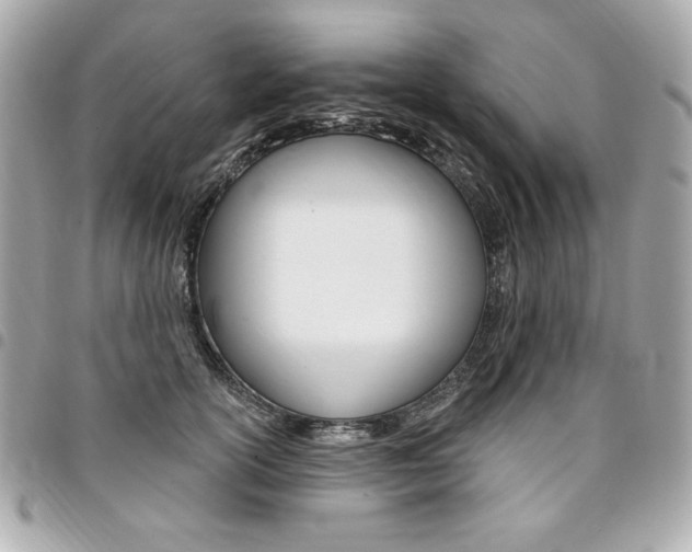 X0000095510754200712140934