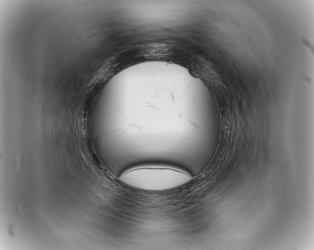 X0000095510755200712140934