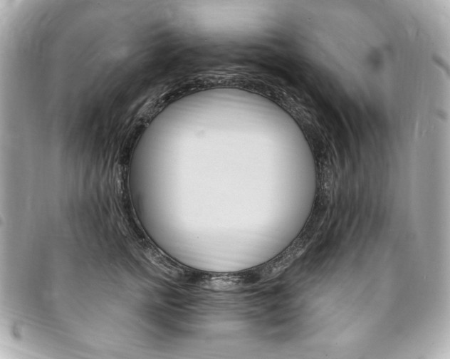 X0000095510758200712140934