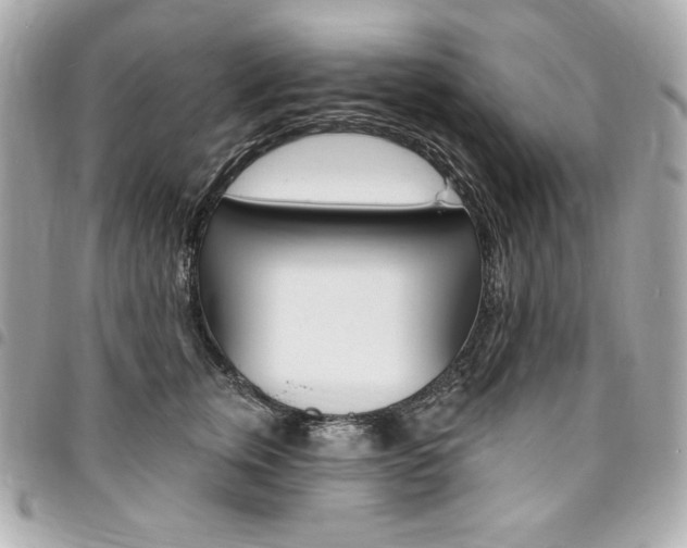 X0000095510759200712140934