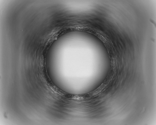 X0000095510760200712140934