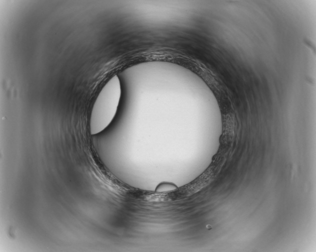 X0000095510761200712140934