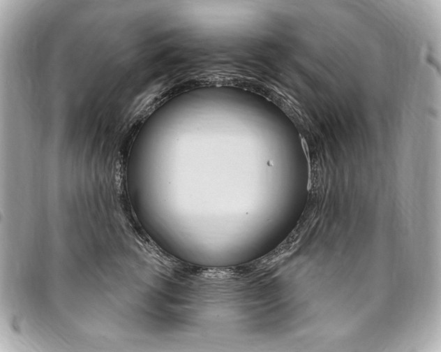X0000095510762200712140934