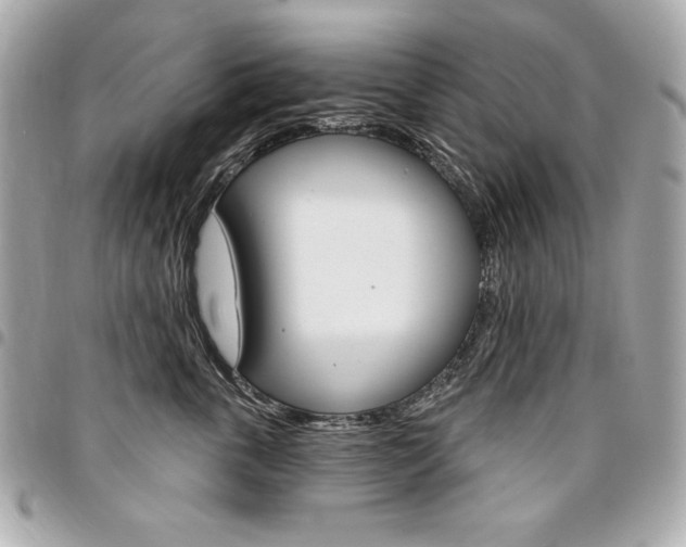 X0000095510763200712140934