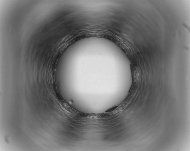 X0000095510764200712140934