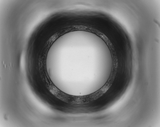X0000095510765200712140934