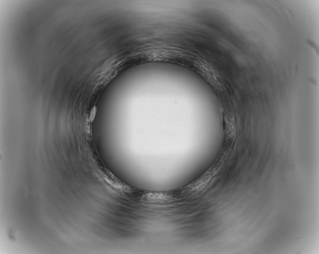 X0000095510766200712140934