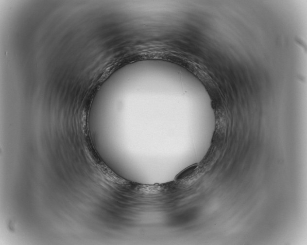 X0000095510767200712140934