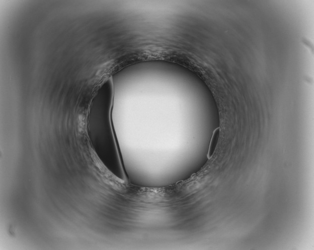 X0000095510768200712140934